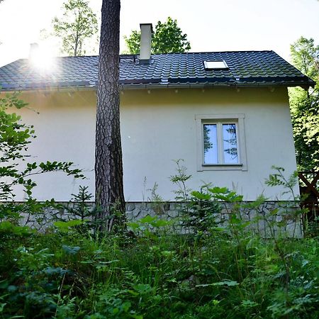Gorski Domek Kolo Karpacza- Apartamentuj Exterior photo
