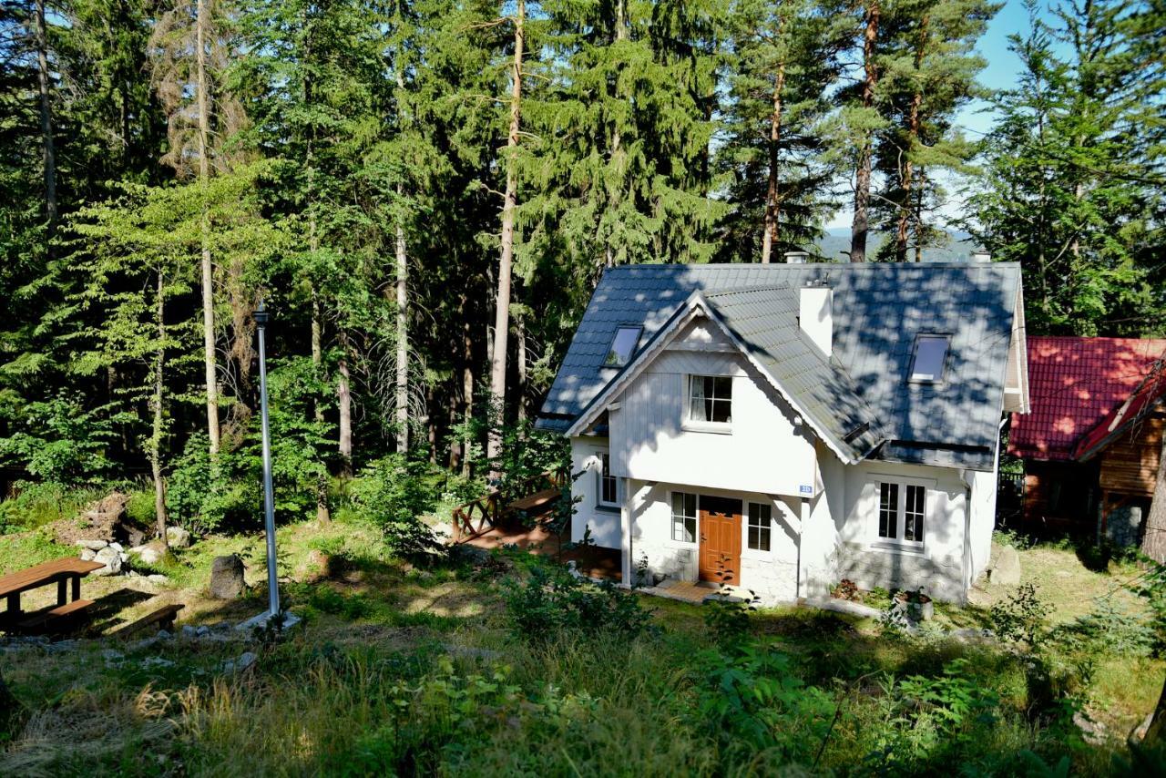 Gorski Domek Kolo Karpacza- Apartamentuj Exterior photo